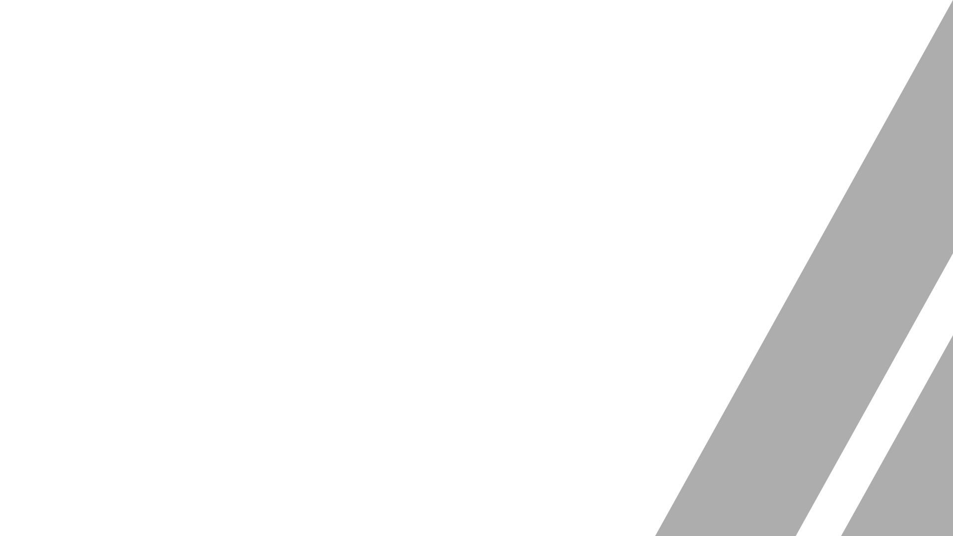 Logo in Slider